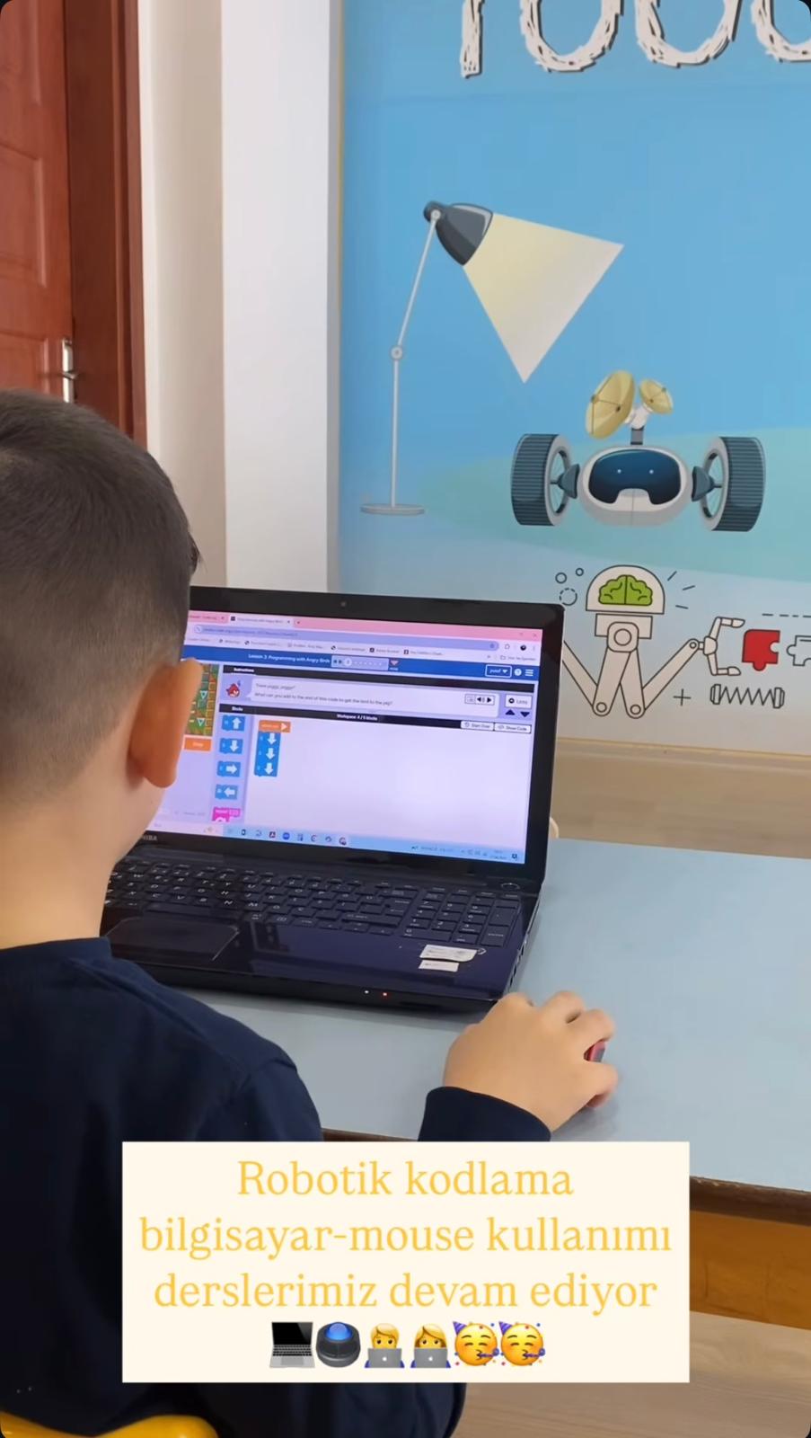 Minik Adımlar Programı